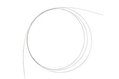 Wajer ta 'Gwida li jintremew Zebra